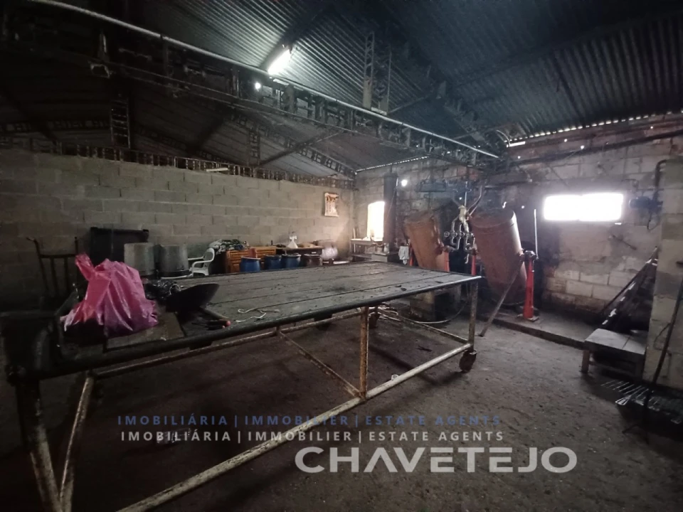 Prédio para Venda em Paialvo Foto 32