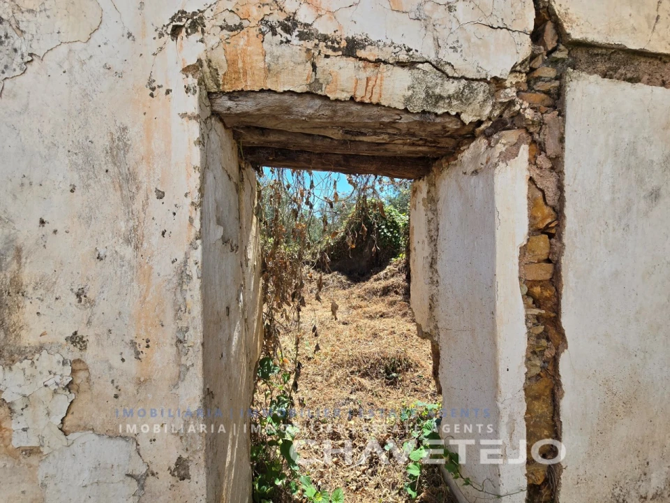 Terreno para Venda em Areias e Pias Foto 5