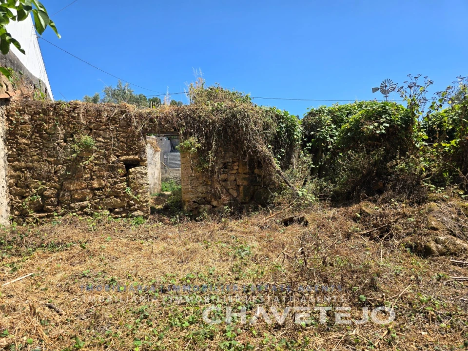 Terreno para Venda em Areias e Pias Foto 6