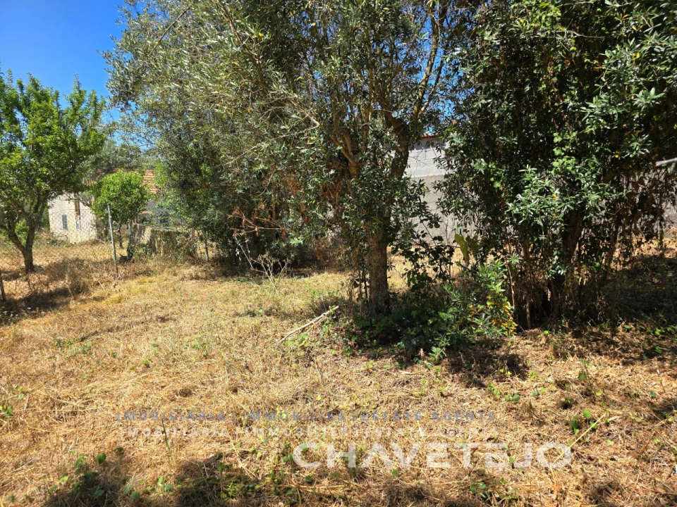 Terreno para Venda em Areias e Pias Foto 10