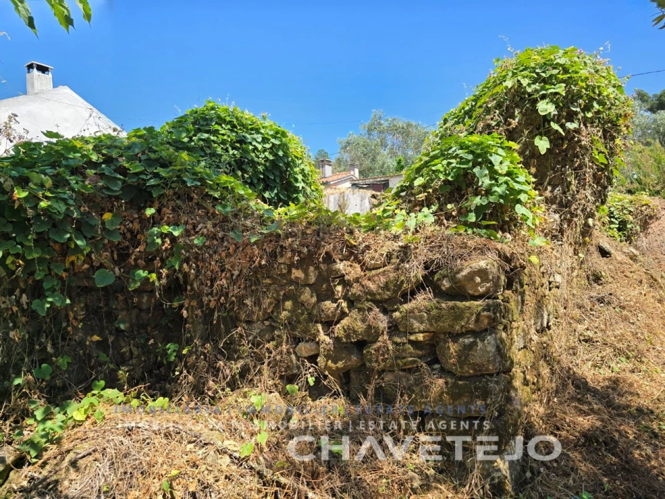 Terreno para Venda em Areias e Pias Foto 11