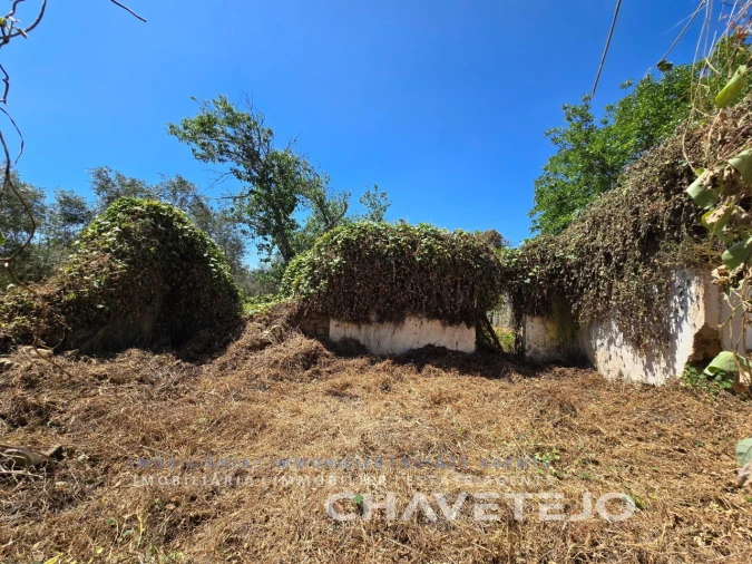 Terreno para Venda em Areias e Pias Foto 3