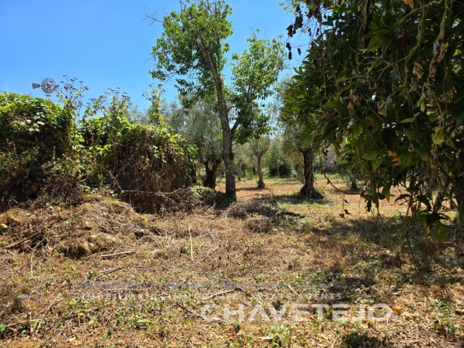 Terreno para Venda em Areias e Pias Foto 7