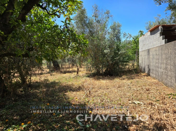 Terreno para Venda em Areias e Pias Foto 8