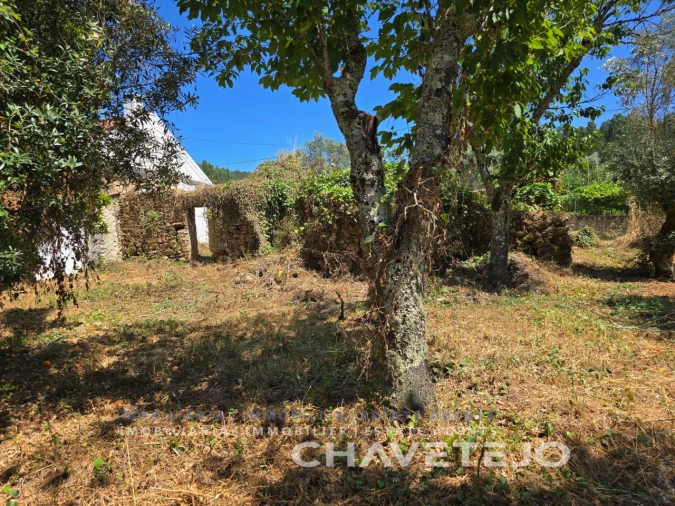 Terreno para Venda em Areias e Pias Foto 9