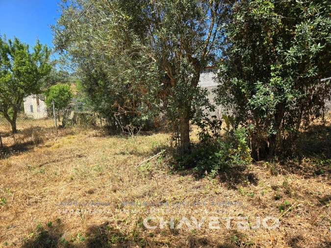 Terreno para Venda em Areias e Pias Foto 10
