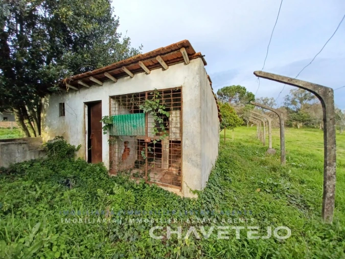 Moradia T3 para Venda em Olalhas Foto 7