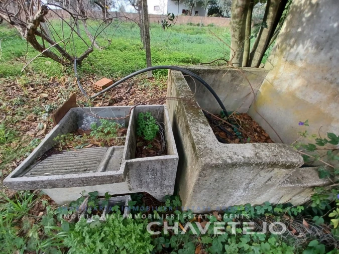 Moradia T3 para Venda em Olalhas Foto 13