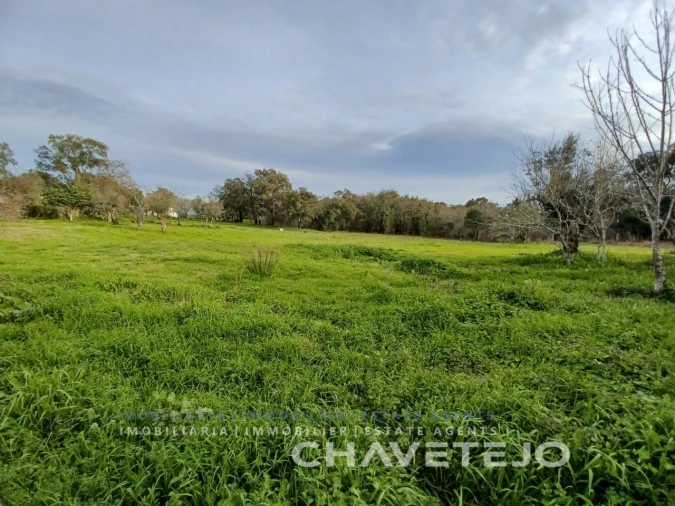 Moradia T3 para Venda em Olalhas Foto 9