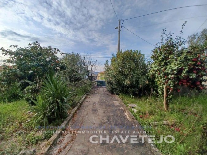 Moradia T3 para Venda em Olalhas Foto 40