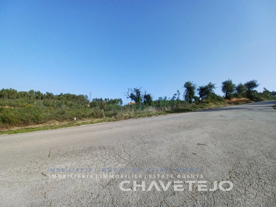 Terreno Agricola ou Rústico para Venda em Asseiceira Foto 1