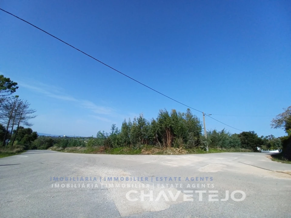 Terreno Agricola ou Rústico para Venda em Asseiceira Foto 2