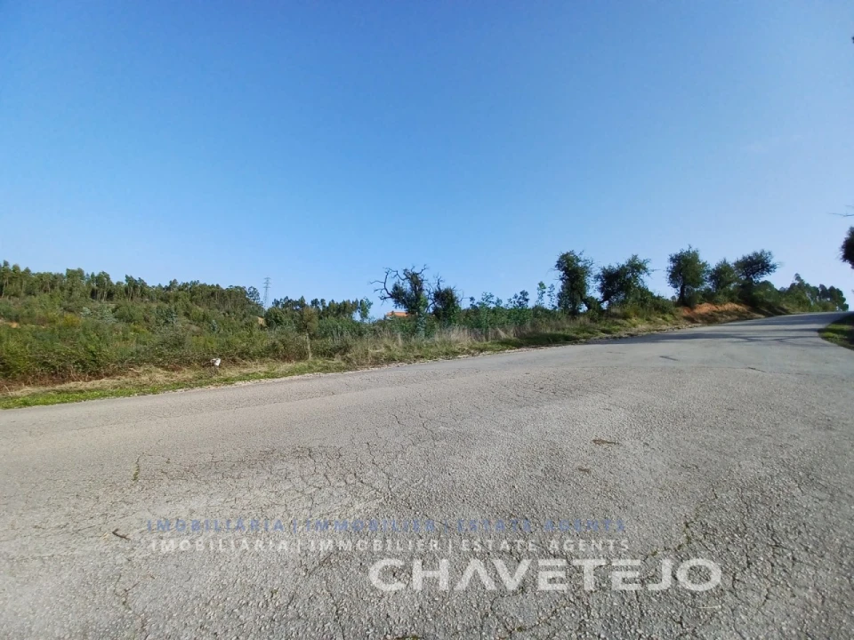 Terreno Agricola ou Rústico para Venda em Asseiceira Foto 3