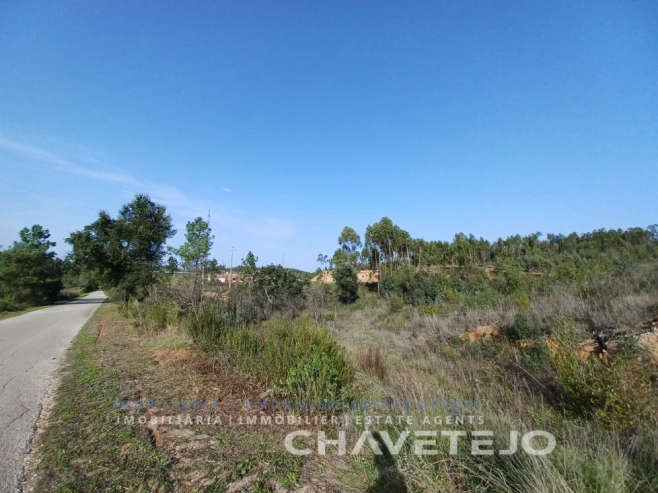 Terreno Agricola ou Rústico para Venda em Asseiceira Foto 4