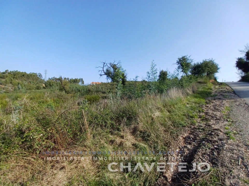 Terreno Agricola ou Rústico para Venda em Asseiceira Foto 6