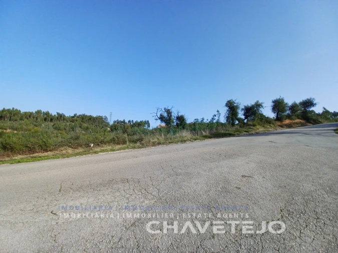 Terreno Agricola ou Rústico para Venda em Asseiceira