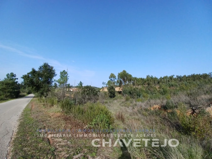Terreno Agricola ou Rústico para Venda em Asseiceira Foto 4