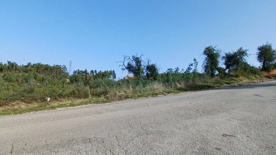 Terreno Agricola ou Rústico para Venda em Asseiceira