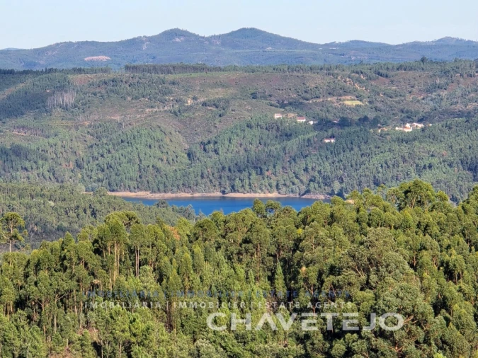 Terreno para Venda em Serra e Junceira Foto 11