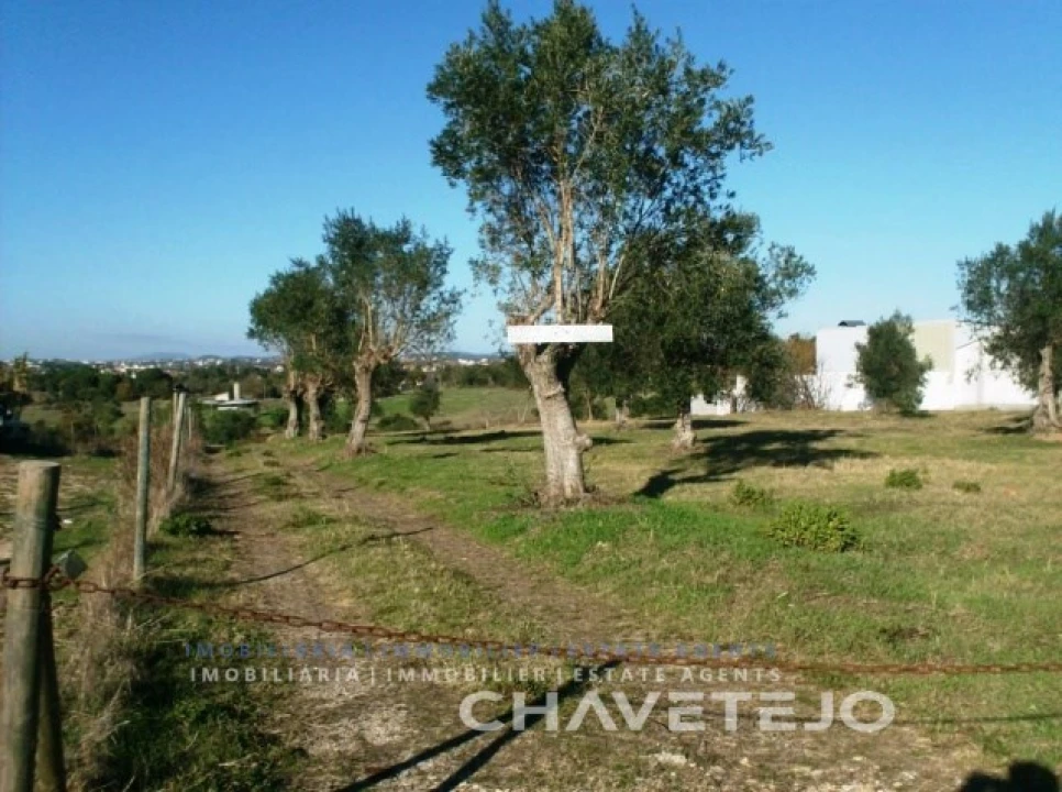 Moradia T2 para Venda em São Pedro de Tomar Foto 13