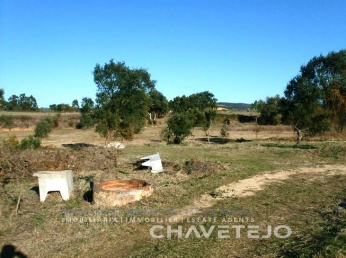 Moradia T2 para Venda em São Pedro de Tomar Foto 12