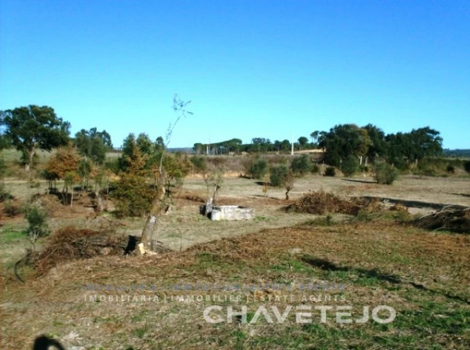Moradia T2 para Venda em São Pedro de Tomar Foto 14