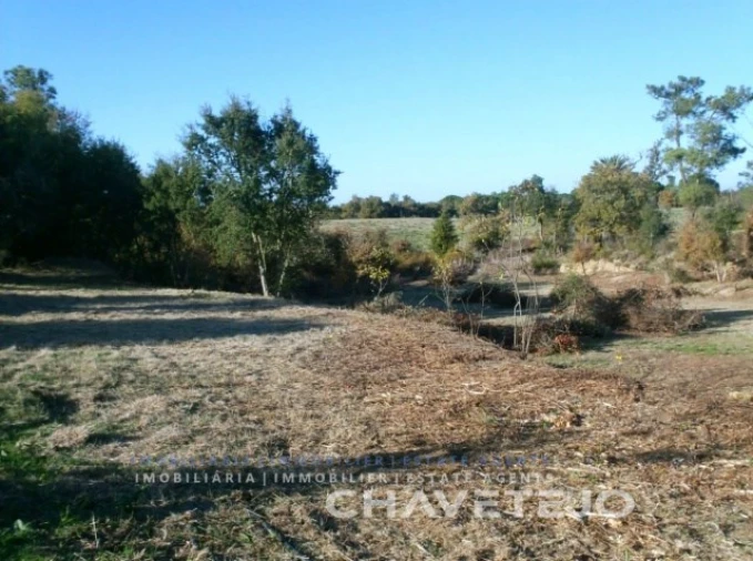 Moradia T2 para Venda em São Pedro de Tomar Foto 15