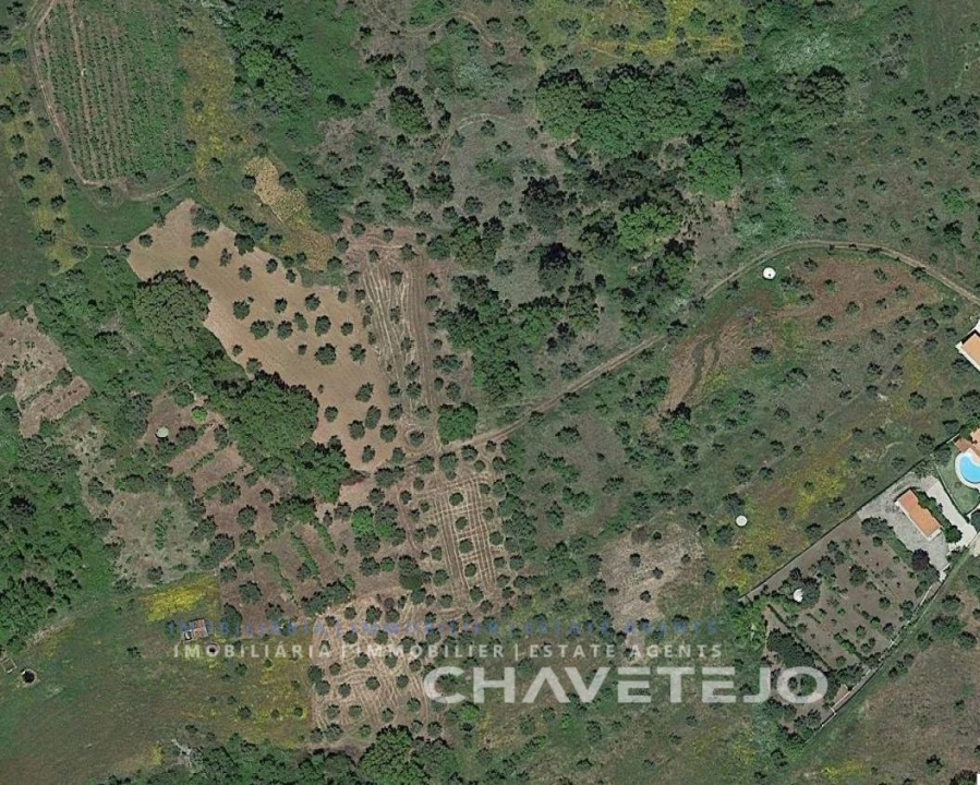 Terreno Agricola ou Rústico para Venda em Olalhas Foto 3