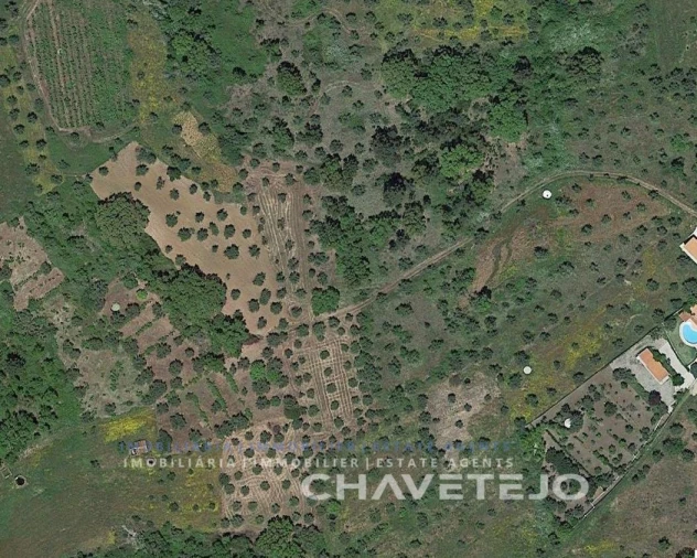 Terreno Agricola ou Rústico para Venda em Olalhas Foto 3