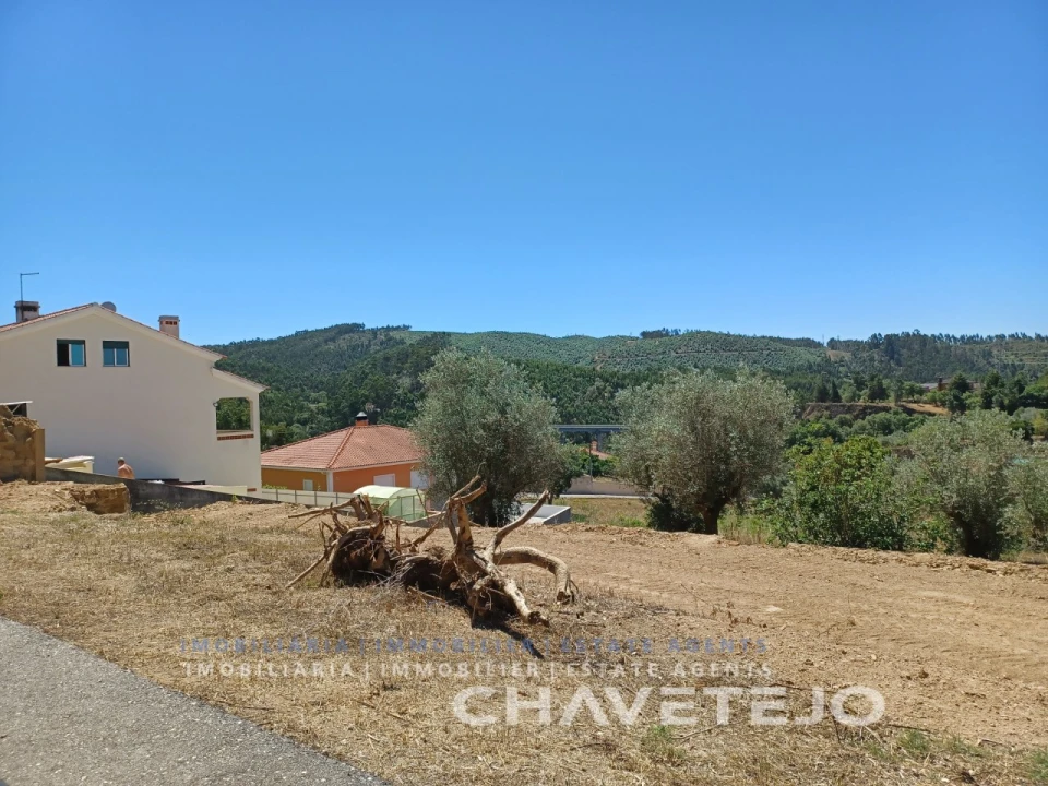 Terreno para Venda em Serra e Junceira Foto 3