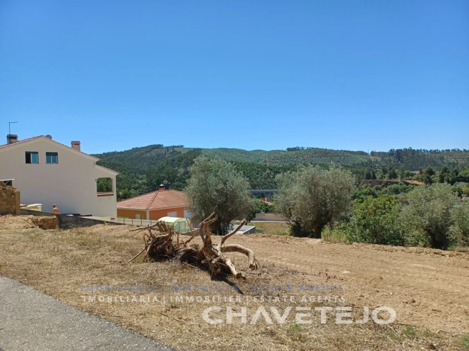 Terreno para Venda em Serra e Junceira Foto 3