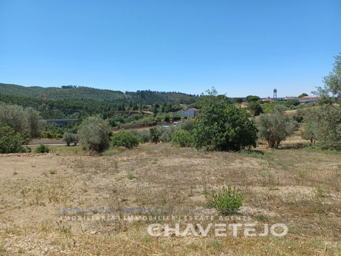 Terreno para Venda em Serra e Junceira Foto 4