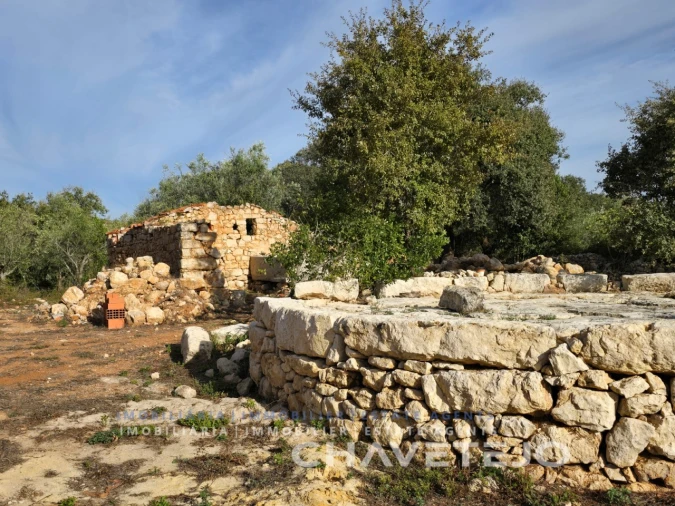 Moradia para Venda em Chãos Foto 3