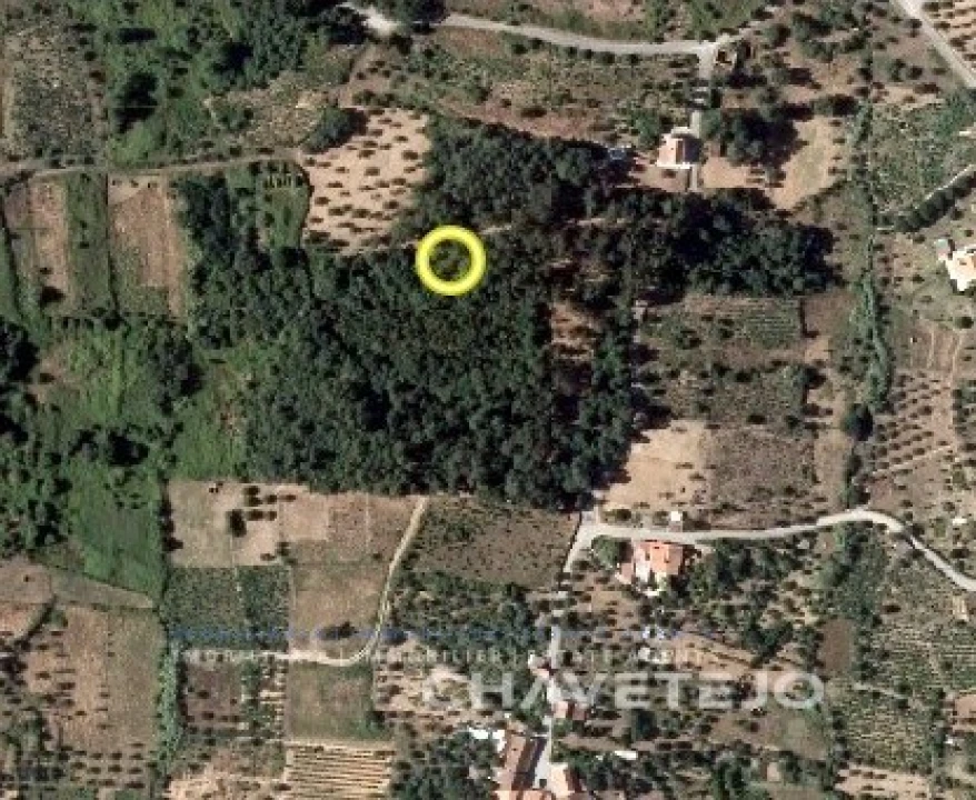 Terreno Agricola ou Rústico para Venda em Igreja Nova do Sobral Foto 1