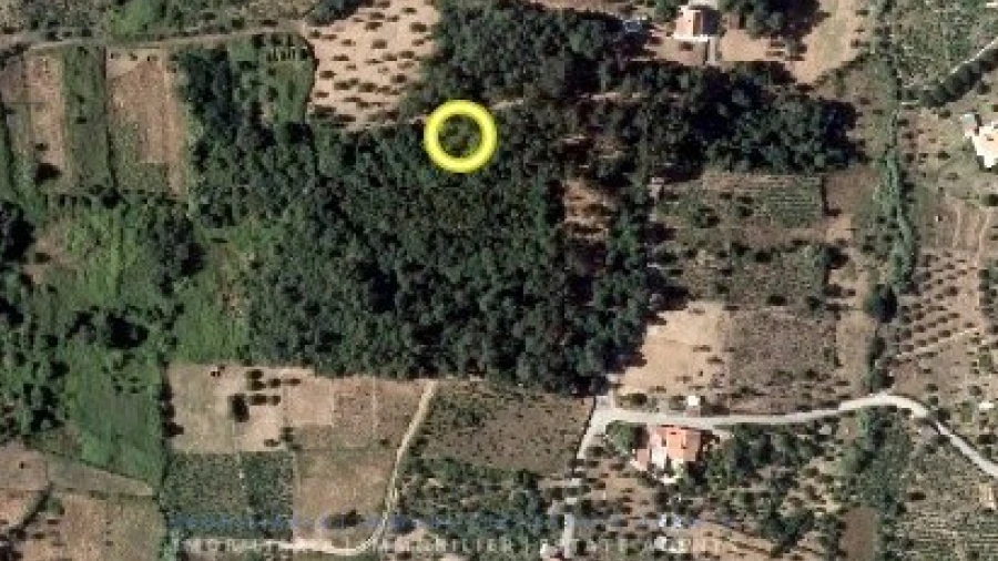 Terreno Agricola ou Rústico para Venda em Igreja Nova do Sobral