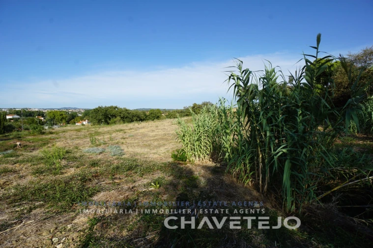 Terreno para Venda em São João Baptista e Santa Maria dos Olivais Foto 4
