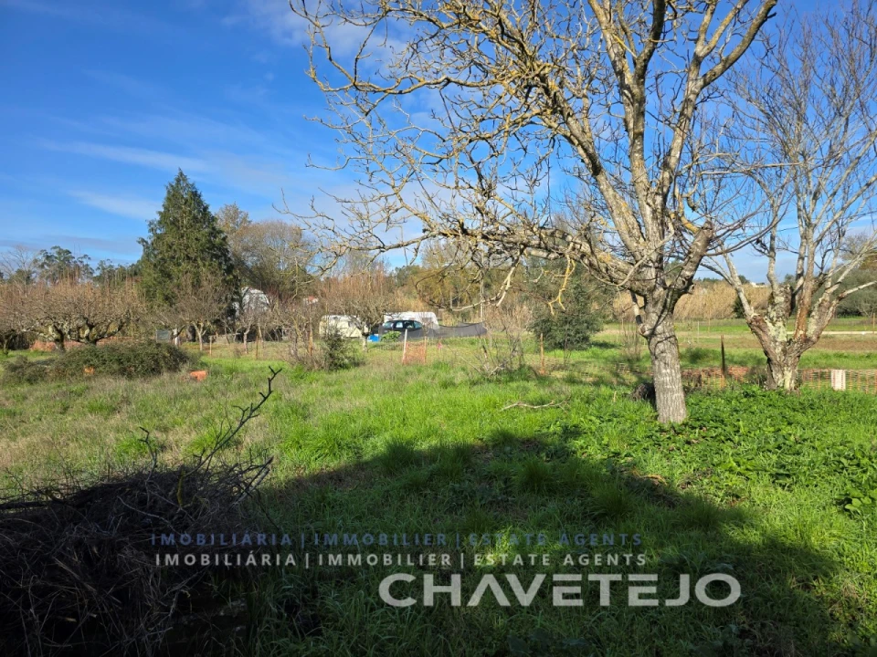 Moradia T2 para Venda em São Pedro de Tomar Foto 7