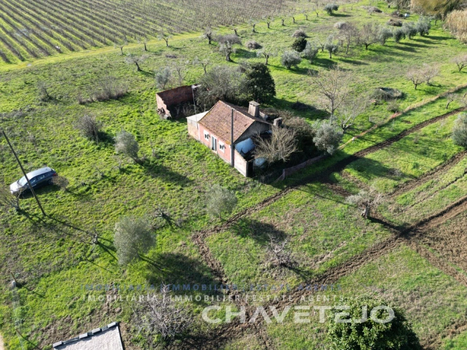 Moradia T2 para Venda em São Pedro de Tomar Foto 22
