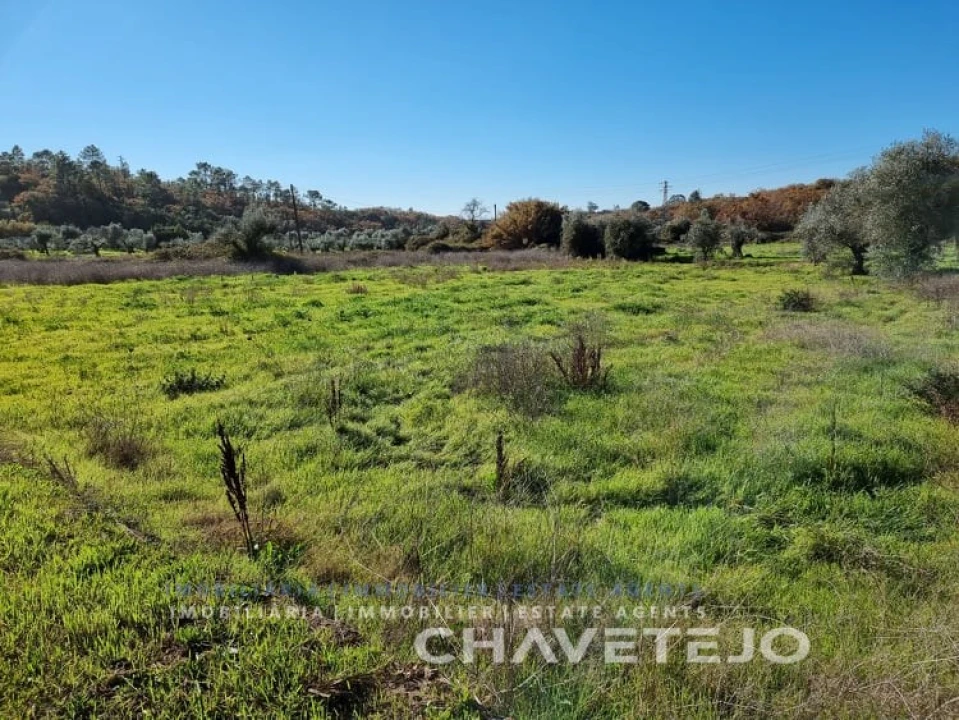 Terreno para Venda em Areias e Pias Foto 4