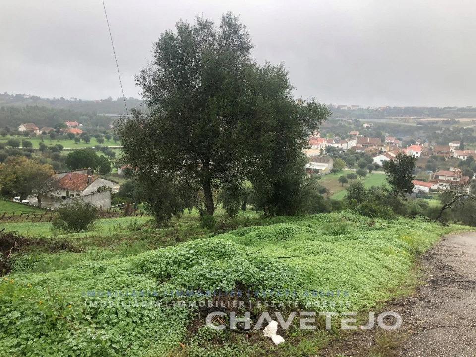Terreno para Venda em Carregueiros Foto 6