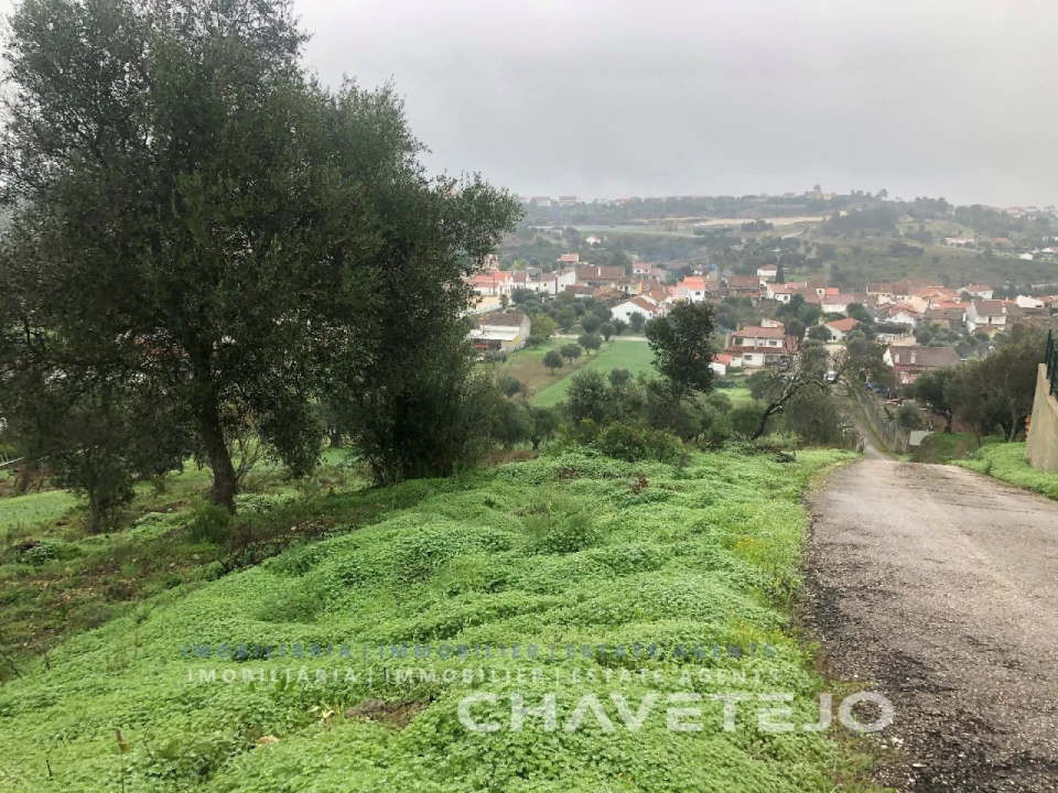 Terreno para Venda em Carregueiros Foto 7