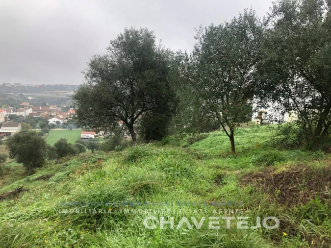 Terreno para Venda em Carregueiros Foto 4