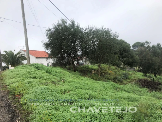Terreno para Venda em Carregueiros Foto 5