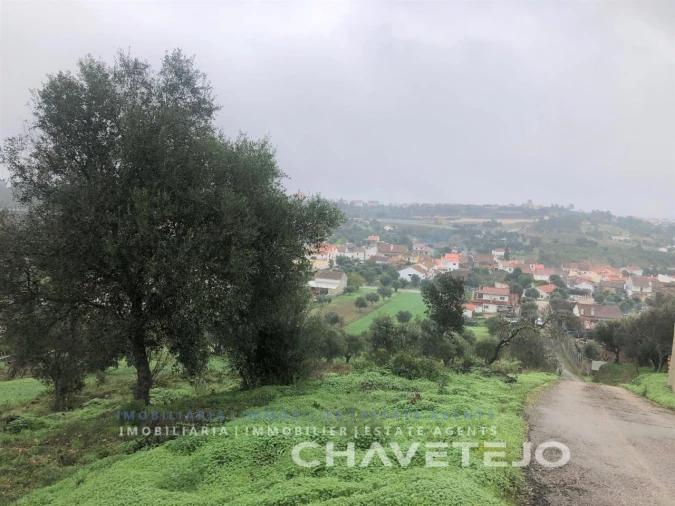 Terreno para Venda em Carregueiros Foto 8