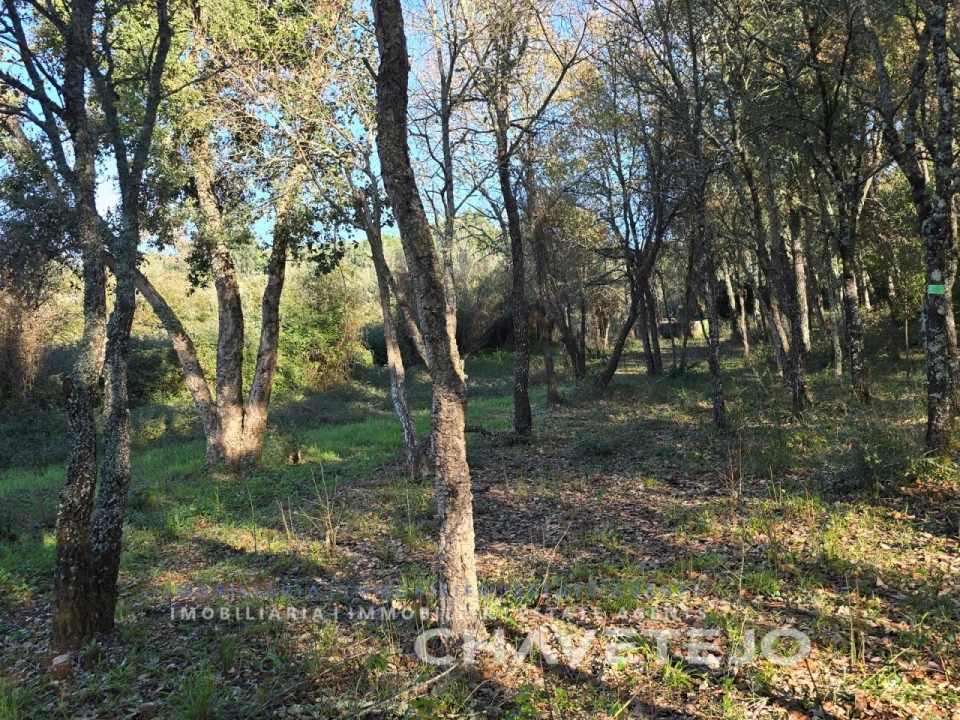 Moradia T4 para Venda em Areias e Pias Foto 53