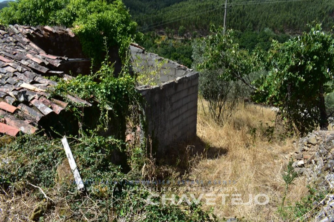 Terreno para Venda em Campelo Foto 1