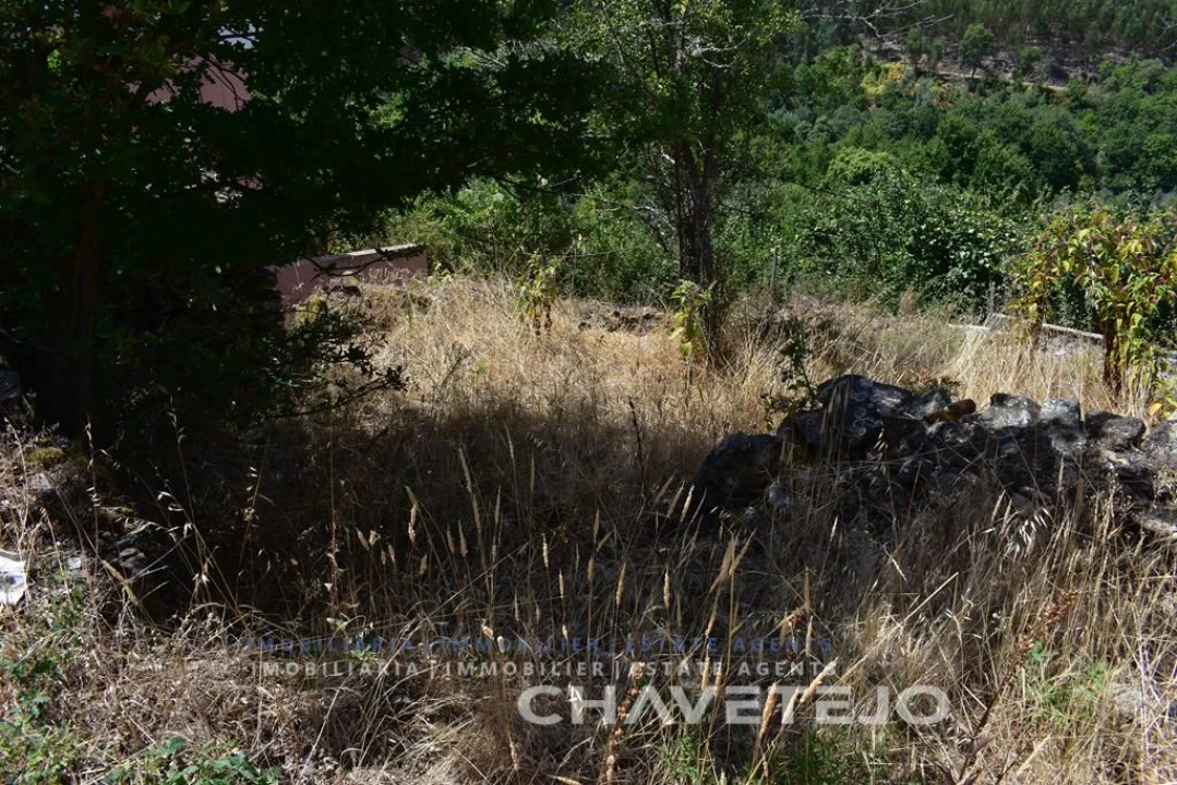 Terreno para Venda em Campelo Foto 3