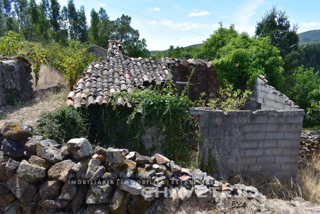 Terreno para Venda em Campelo Foto 7