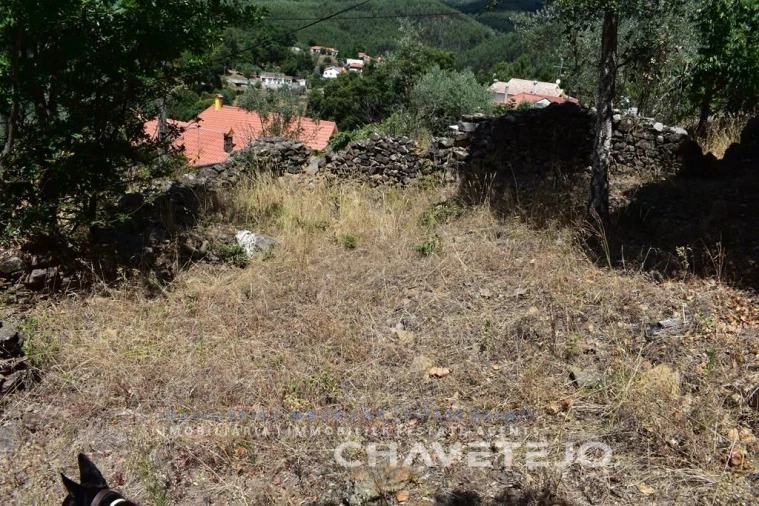 Terreno para Venda em Campelo Foto 4
