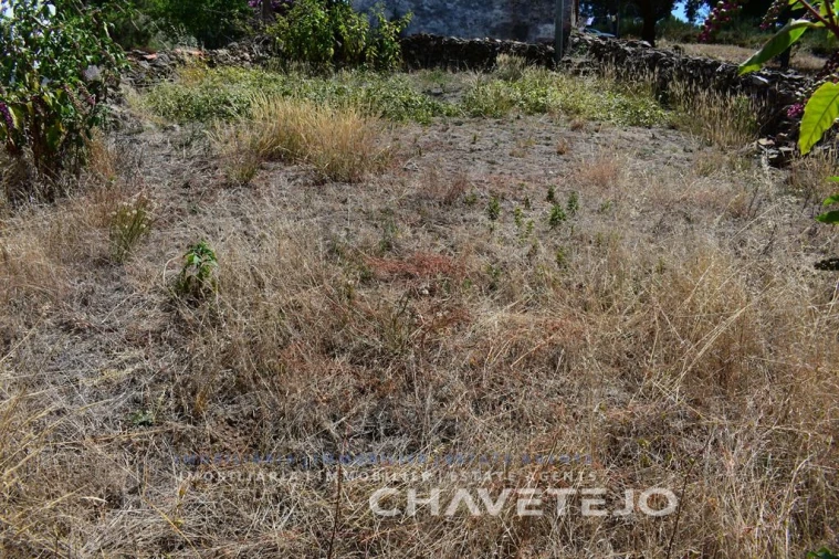 Terreno para Venda em Campelo Foto 6